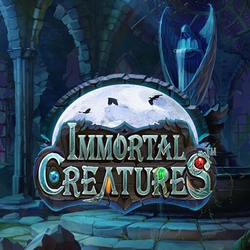 Betbase Peer-to-Peer Weddenschappen Curaçao: Betguideline En Platforminformatie