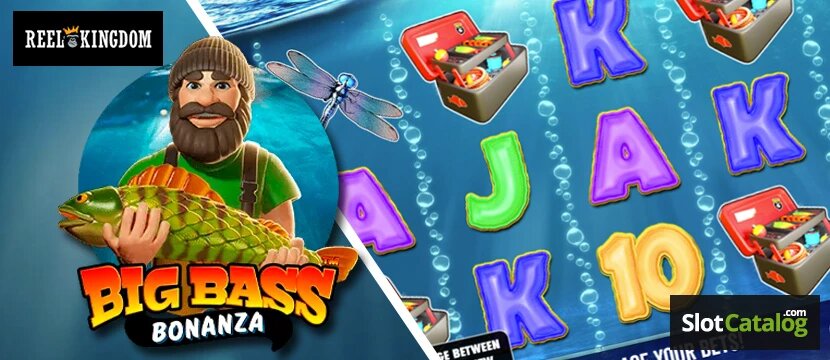 Betbase Peer-to-peer Sportwetten Curaçao: Volledig Overzicht Van Peer-to-peer Sportweddenschappen En Curaçao Licentie