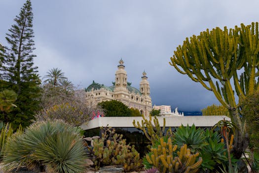 Betbase Peer-to-Peer Weddenschappen Sites Curaçao: Gids Voor Licentie En Betalingsopties